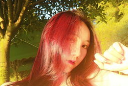 草草爱视频,揭秘现代都市情感生活的真实面貌